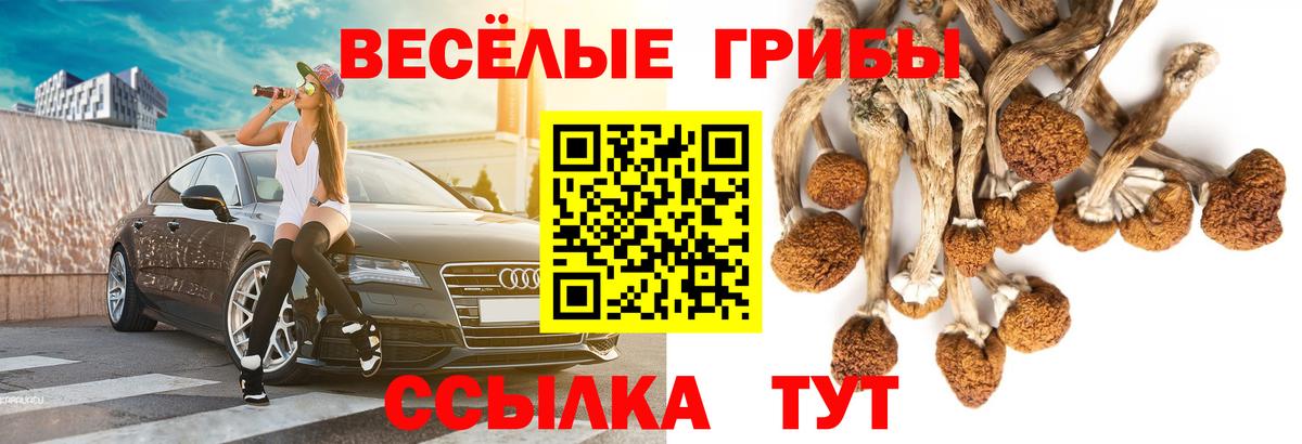 Галлюциногенные грибы мицелий  Вход с VPN  Усть-Илимск  Галлюциногенные грибы мицелий 